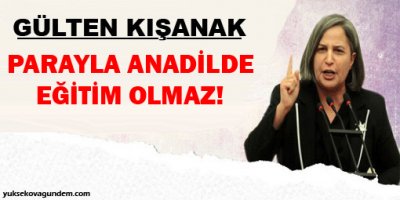 Kışanak: Parayla anadilde eğitim olmaz!