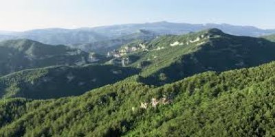 Dünya ormanları tarım ürünleri için yok ediliyor