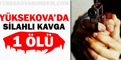 Yüksekova'da silahlı saldırı: 1 ölü