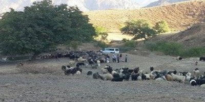 Yayla sakinlerinin geri dönüşü başladı