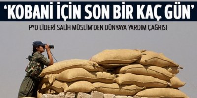 Salih Müslim: Kobani'deki durum birkaç gün içinde çözülür
