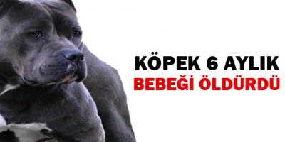 Sokak köpeği 6 aylık bebeği öldürdü