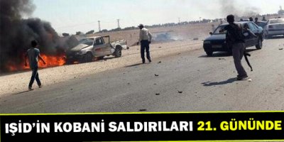 IŞİDin Kobani saldırıları 21.gününde