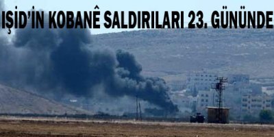 IŞİDin Kobani saldırıları 23. gününde