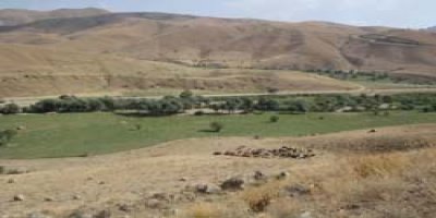 Yapılacak Festival'in Programı Açıklandı