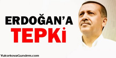 Alman Basını'ndan Erdoğan'a tepki