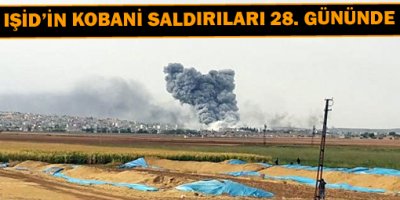 IŞİDin Kobani saldırıları 28. gününde