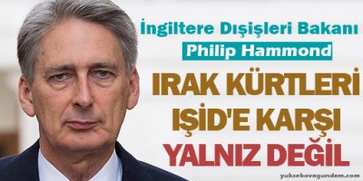'Irak Kürtleri IŞİD'e karşı yalnız değil'