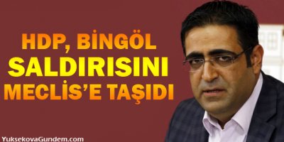 HDP, Bingöl saldırısını Meclise taşıdı
