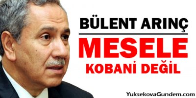 Arınç: Mesele Kobani değil