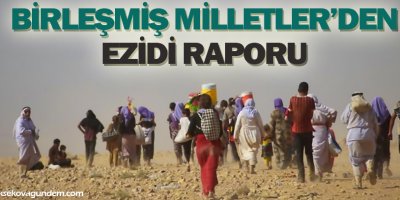 BMden Ezidi raporu
