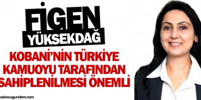 Kobaninin Türkiye kamuoyu tarafından sahiplenilmesi önemli