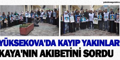 Yüksekova'da Kayıp Yakınları Kaya'nın Akıbetini Sordu