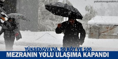 Yüksekovada yoğun kar, köy yollarını kapattı