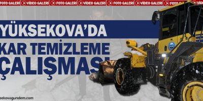 Yüksekova'da Kar Temizleme Çalışması