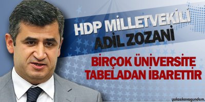 Zozani:Birçok Üniversite tabeladan ibarettir