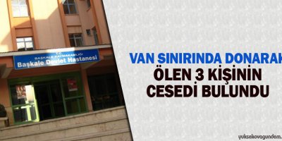 Van sınırında donarak ölen 3 kişinin cesedi bulundu