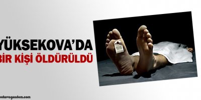 Yüksekovada Bir Erkek Cesedi Bulundu