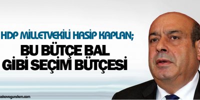 Kaplan: Bu bütçe bal gibi seçim bütçesi