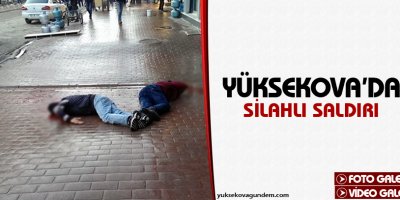 Yüksekova'da silahlı saldırı