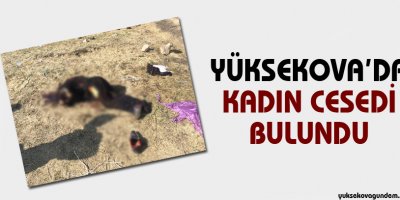 Yüksekova'da bir kadın cesedi bulundu