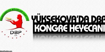 Yüksekova DBP'de kongre heyecanı