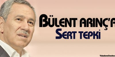 Arınç'a HDP ve CHP'den tepki