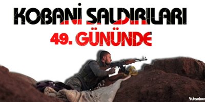 IŞİDin Kobani saldırıları 49. gününde