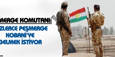 Peşmerge Komutanı: Yüzlerce Peşmerge Kobaniye gelmek istiyor