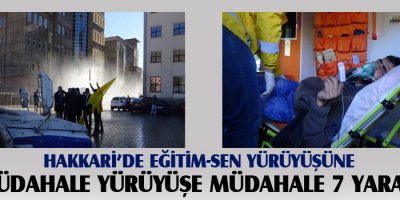 Yürüyüşe müdahale 7 yaralı