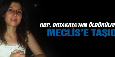 HDP, Ortakayanın öldürülmesini Meclise taşıdı