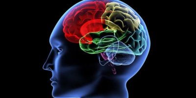 Bu virüs insanları 'aptal' ediyor