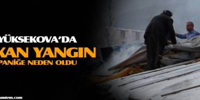 Yüksekova'da Yangın