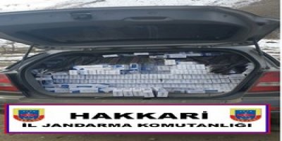 Yüksekova'da 2 Milyonluk Operasyon