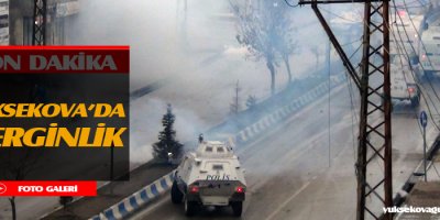 Yüksekova'da Gerginlik Çıktı