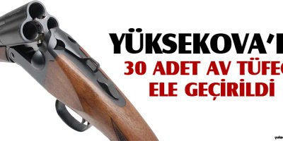Yüksekova'da 30 adet Av tüfeği ele geçirildi