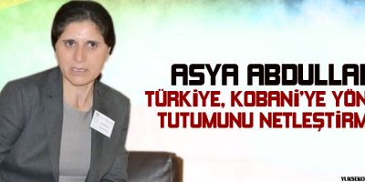 Abdullah: Türkiye, Kobaniye yönelik tutumunu netleştirmeli