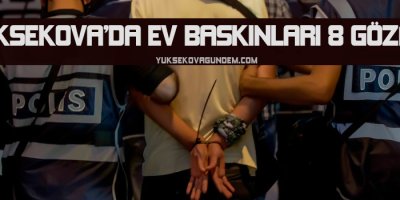 Yüksekova'da 8 gözaltı