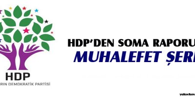 HDPden Soma raporuna muhalefet şerhi