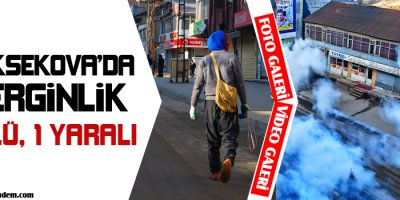 Yüksekova'da Olaylar Çıktı: 1 Ölü, 1 Yaralı