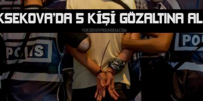 Yüksekova'da 5 kişi gözaltına alındı