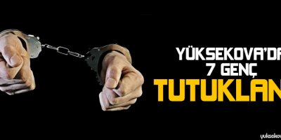 Yüksekovada 7 genç tutuklandı