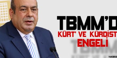 TBMMde 'Kürt' ve 'Kürdistan' Engeli