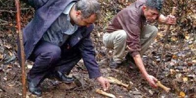 Kulp davası 3 Şubata ertelendi