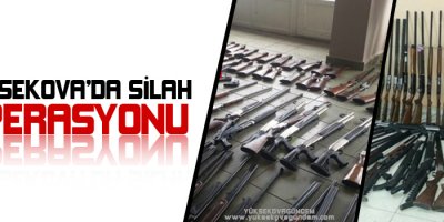 Yüksekova'da silah operasyonu