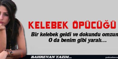 Kelebek Öpücüğü I