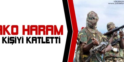 Bako Haram 32 kişiyi katletti