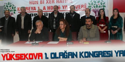 HDP Yüksekova 1. Olağan Kongresi Yapıldı