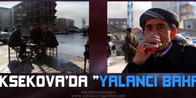 Yüksekova'da yalancı bahar