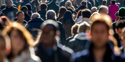 2 ton 700 kilo çay ele geçirildi